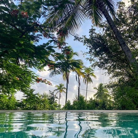 Bed and Breakfast Bellevue Zanzibar Bwejuu Exteriér fotografie