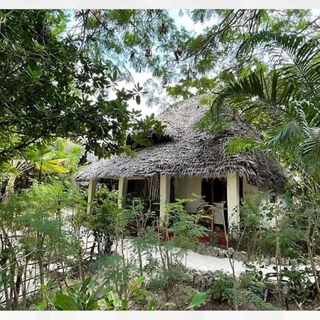 Bed and Breakfast Bellevue Zanzibar Bwejuu Exteriér fotografie