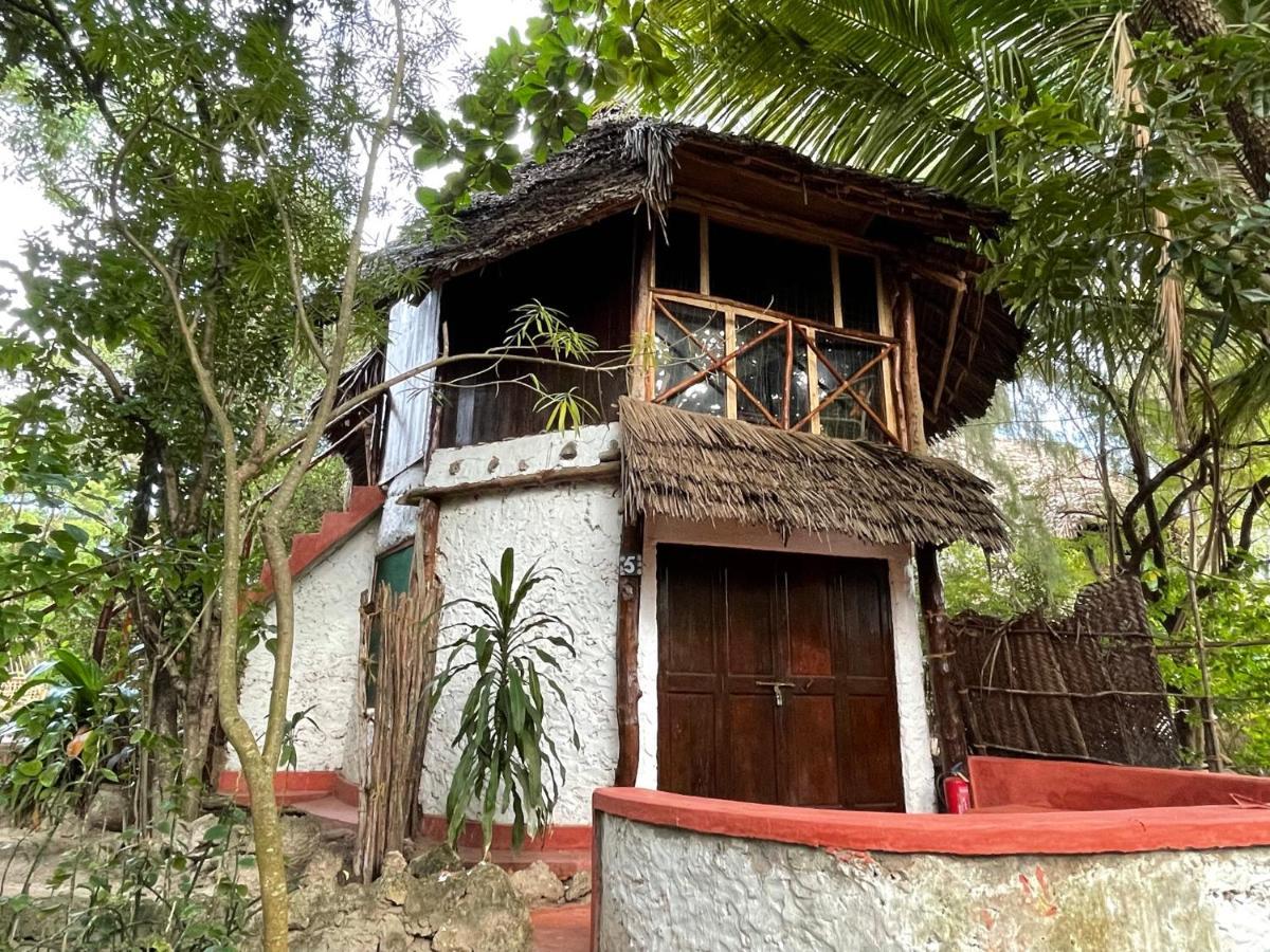 Bed and Breakfast Bellevue Zanzibar Bwejuu Exteriér fotografie