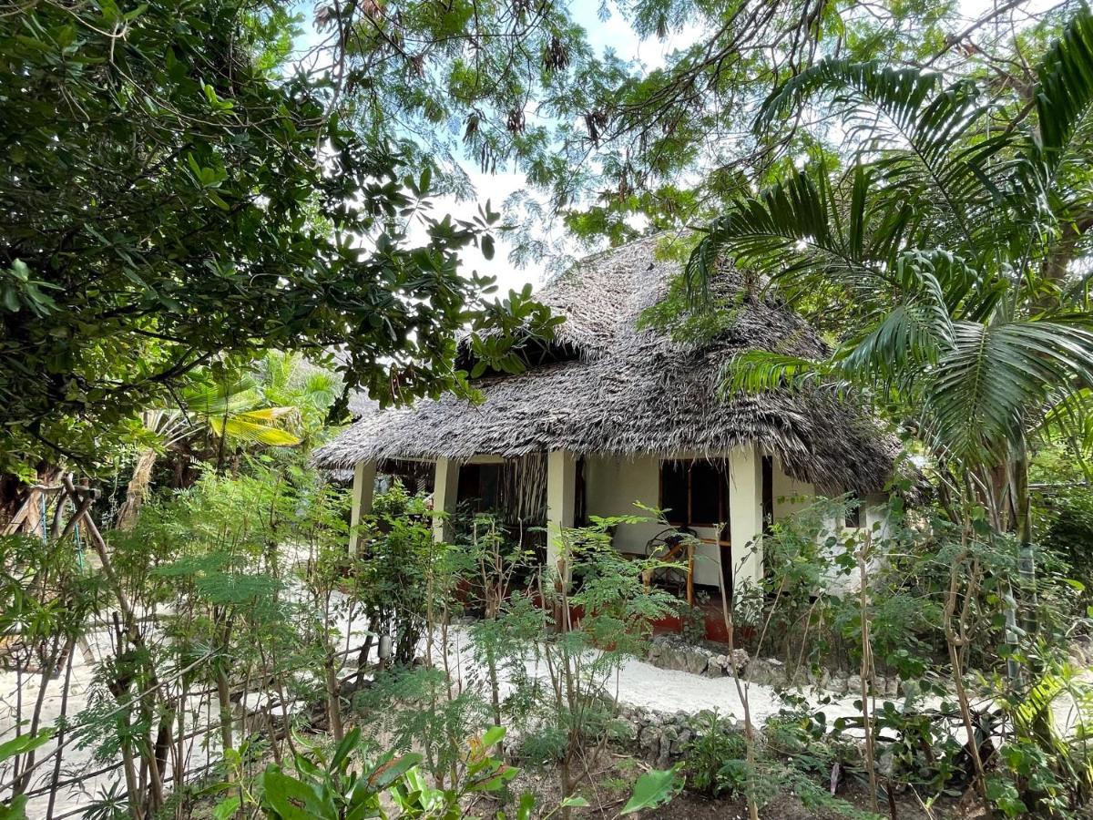 Bed and Breakfast Bellevue Zanzibar Bwejuu Pokoj fotografie