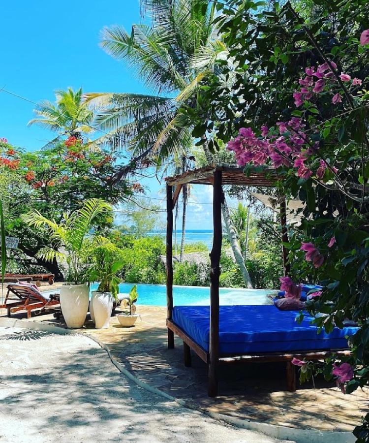 Bed and Breakfast Bellevue Zanzibar Bwejuu Exteriér fotografie