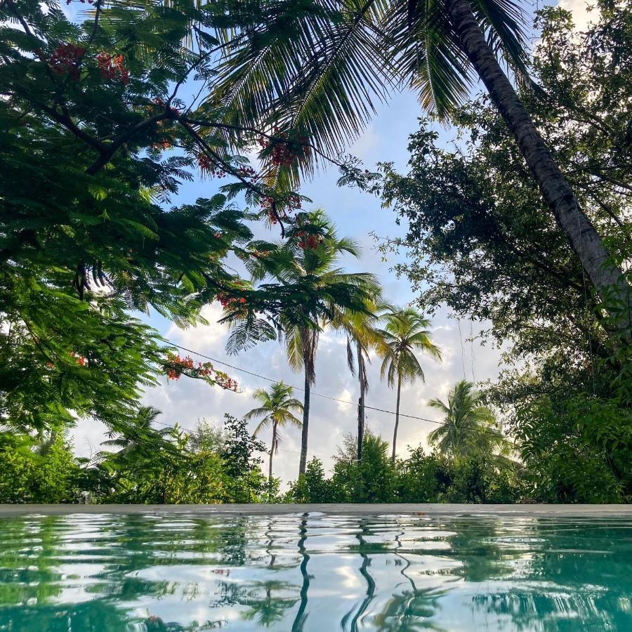 Bed and Breakfast Bellevue Zanzibar Bwejuu Exteriér fotografie