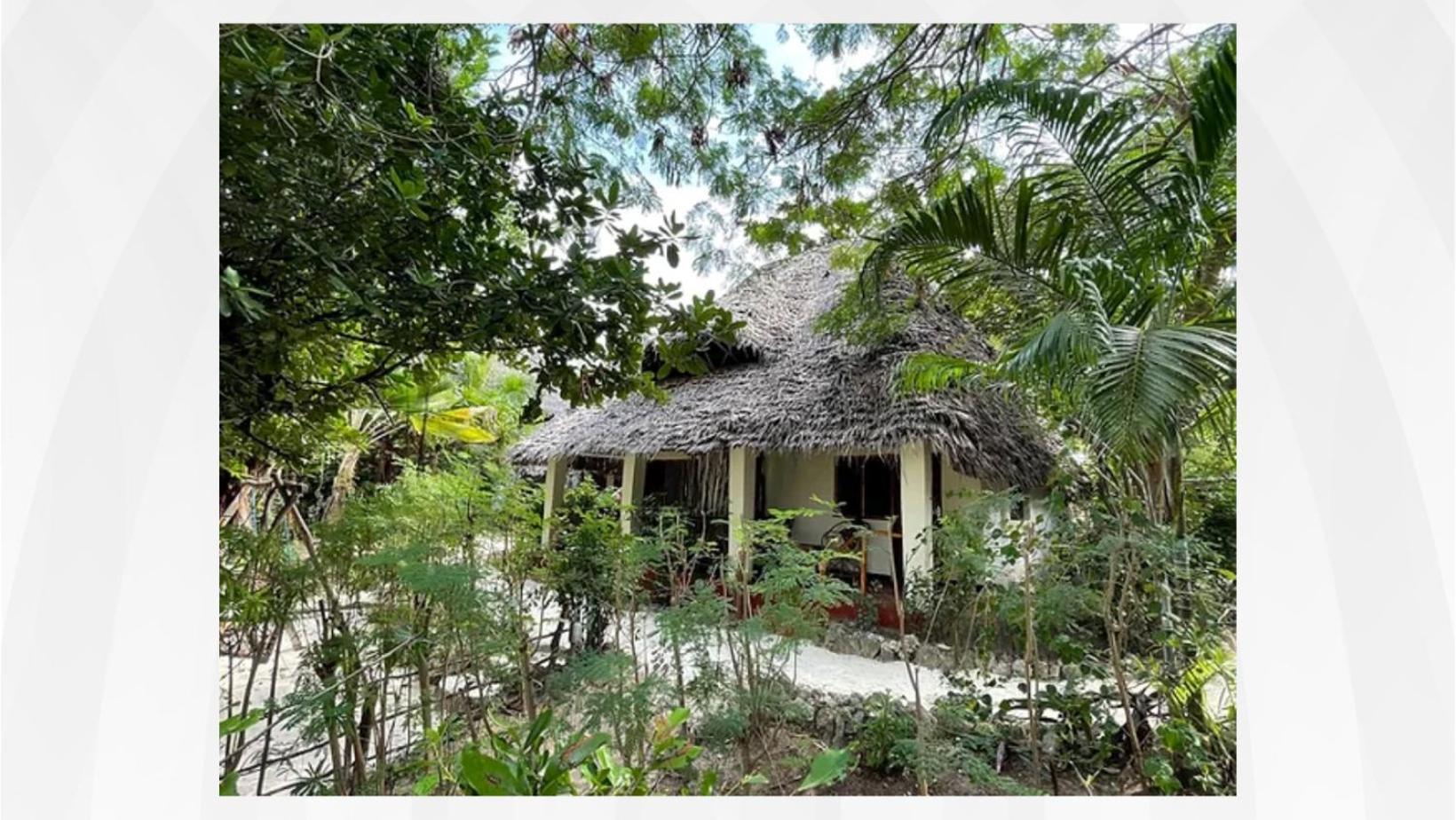 Bed and Breakfast Bellevue Zanzibar Bwejuu Exteriér fotografie