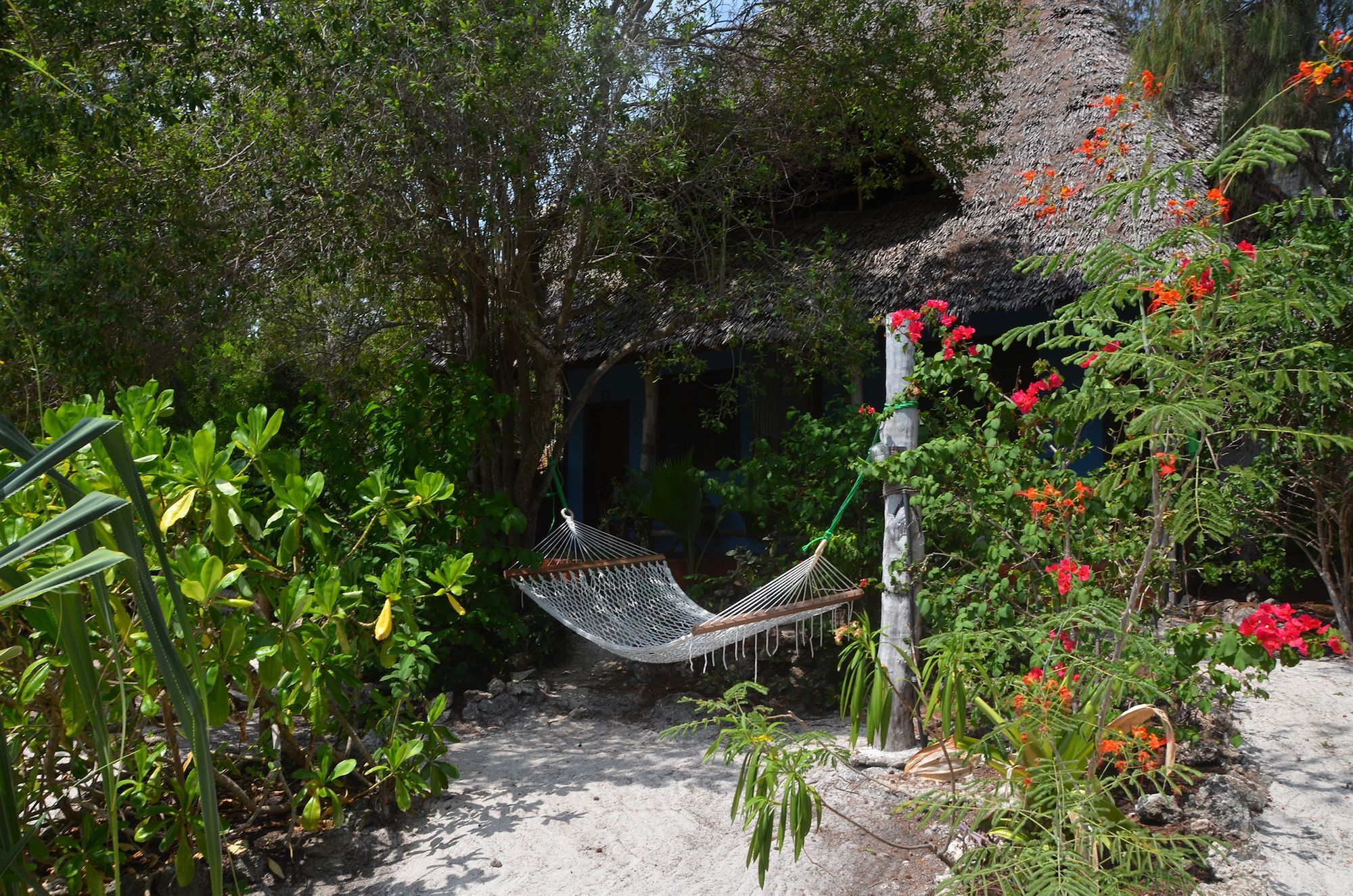 Bed and Breakfast Bellevue Zanzibar Bwejuu Exteriér fotografie